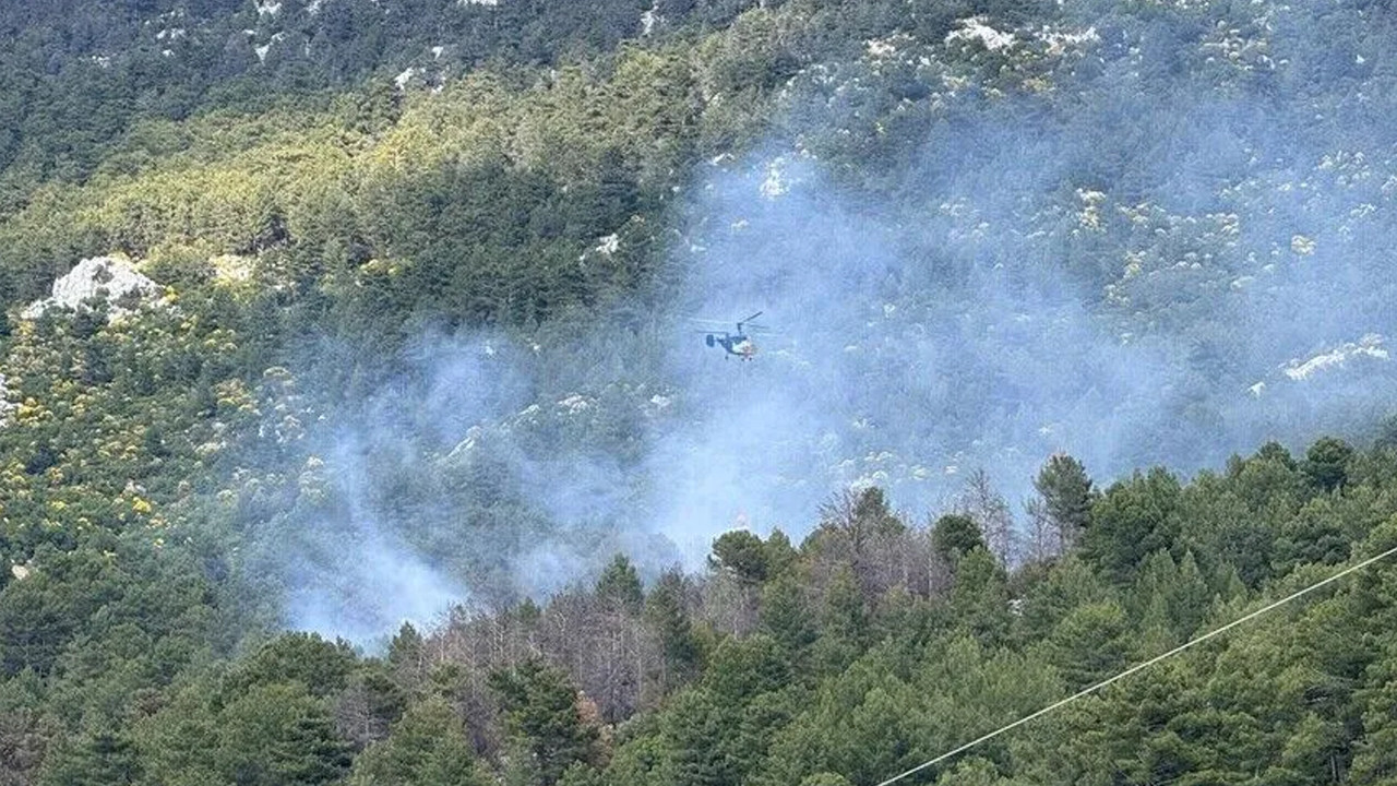 Antalya’nın Kaş ilçesinde orman yangını